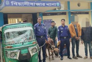 ছবি সংগৃহীত 