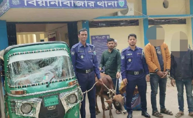 ছবি সংগৃহীত